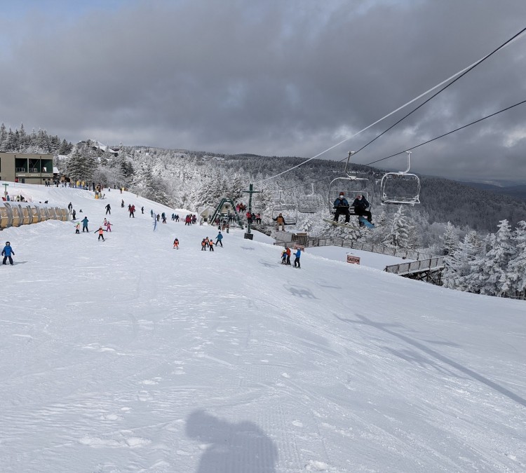 skidder-slope-photo